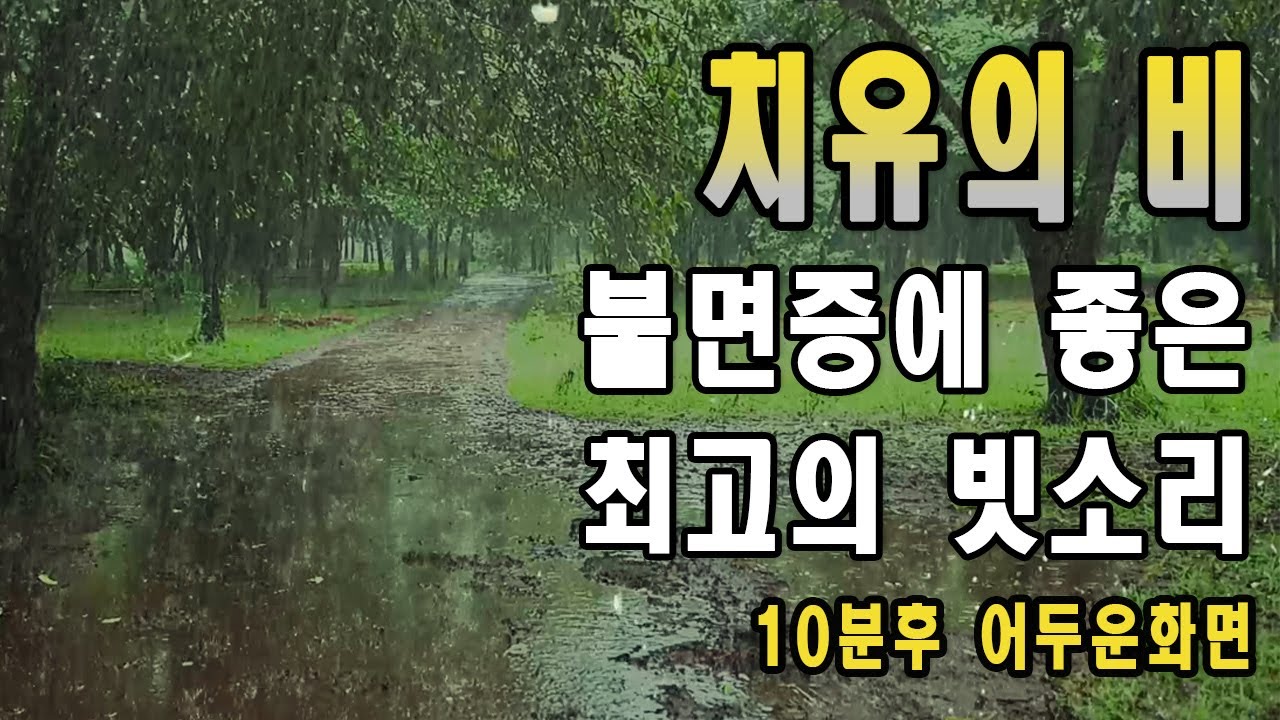 불면증에 좋은 최고의 빗소리/ 이명치료효과/ 10분후 화면꺼짐