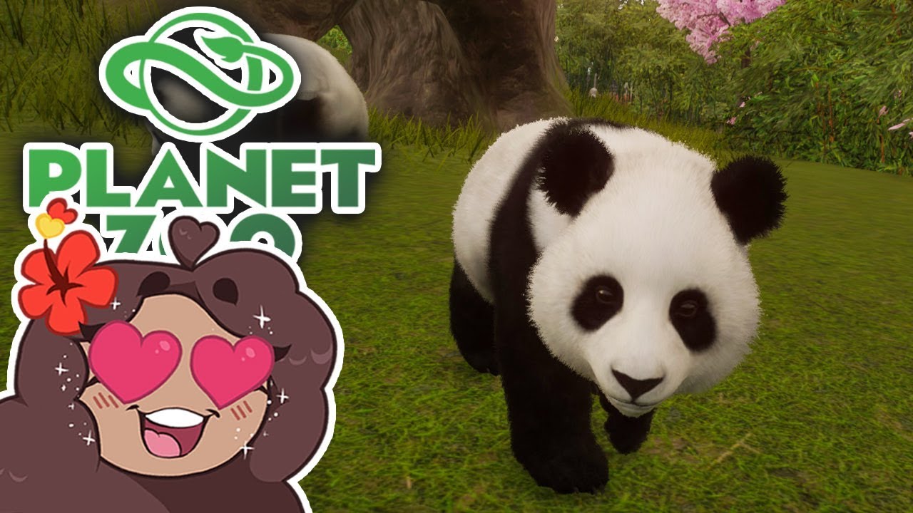 Birth of a SURPRISE Panda Baby?! 🐼 Daily Planet Zoo! • Day 37