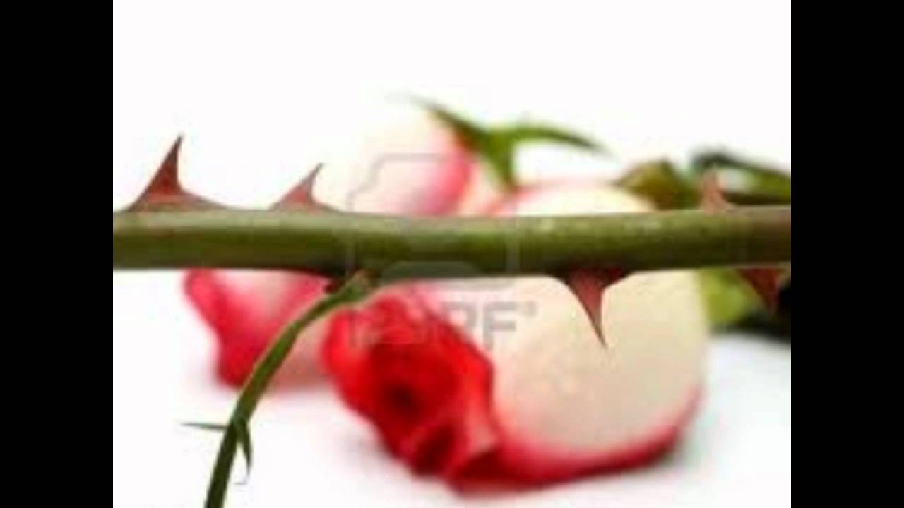 LOS DEL MALAGA - Rodeada de Espinas