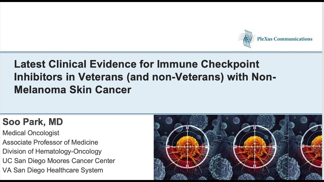 Clinical Evidence for Immune Checkpoint Inhibitors in Veterans with Non Melanoma Skin Cancer