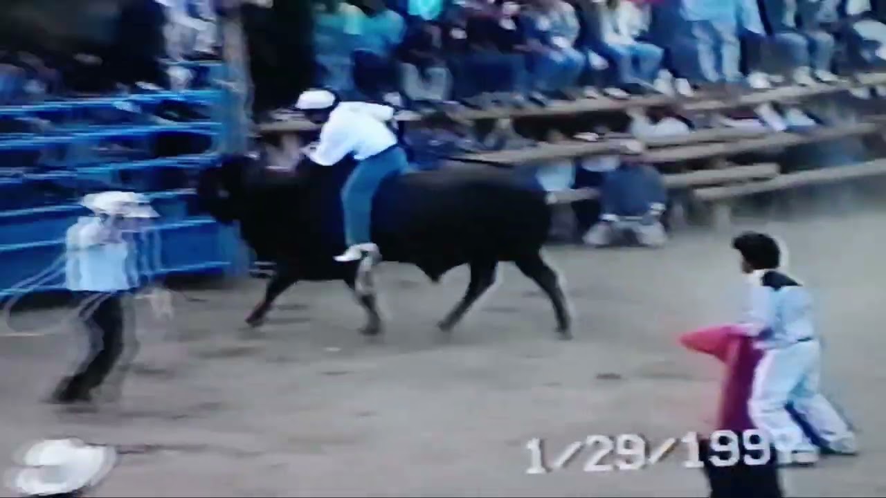 1997 Jaripeo estilo tradicional.