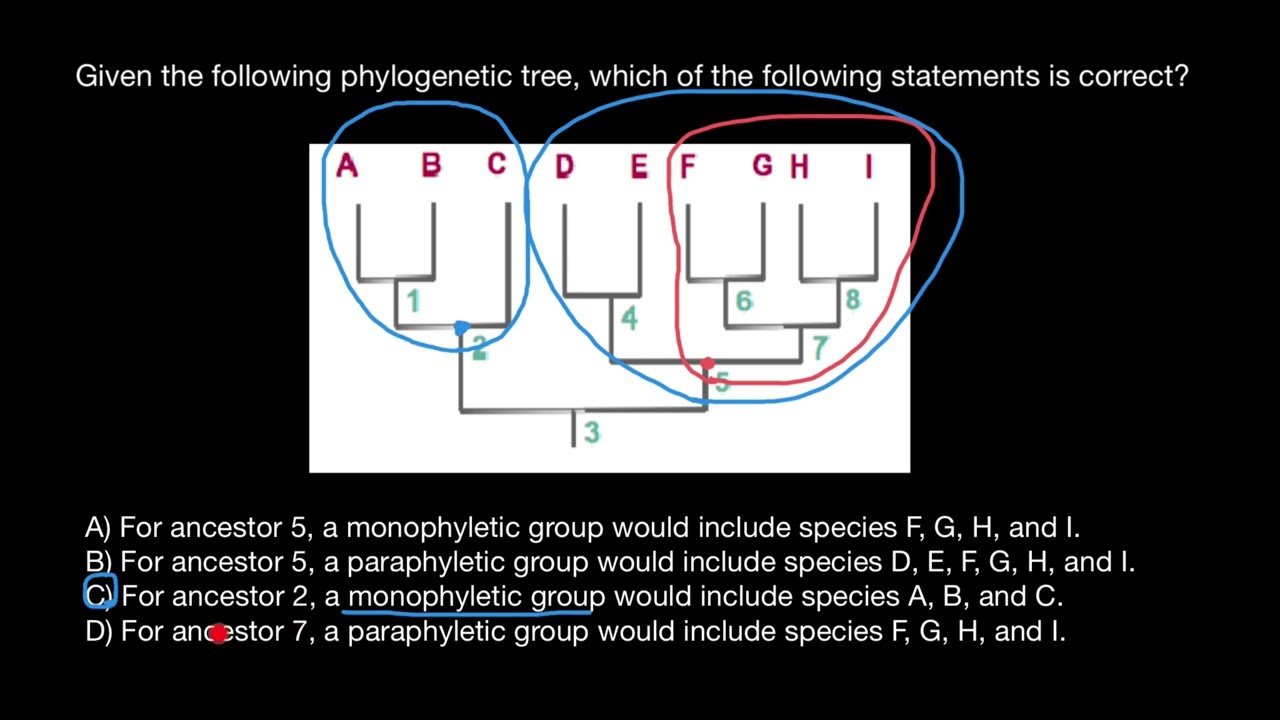 Paraphyletic groups vs. Monophyletic groups