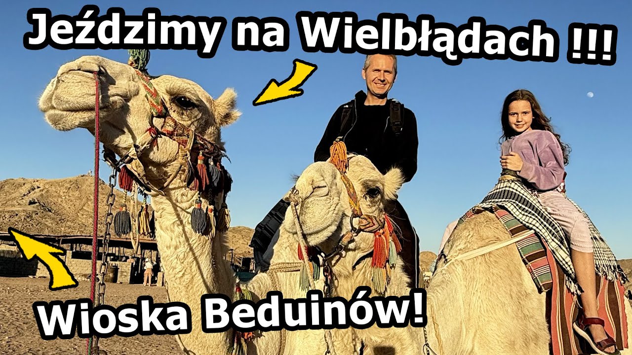 Beduini na Pustyni !!! - Chleb pieczony na Odchodach Wielbłąda! *Sahara, Egipt i Quady #1124