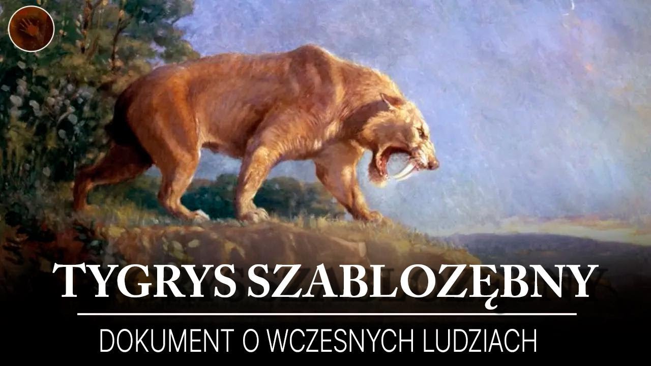 Tygrysy szablozębne &ndash; groźni drapieżcy prehistorii | Film dokumentalny