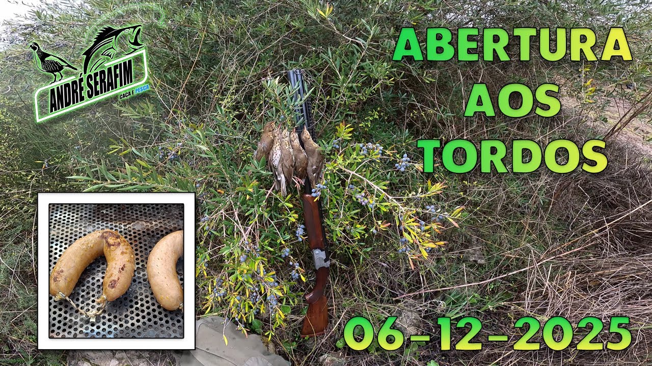 Abertura aos Tordos Época 2025/2026 (06-12-2025) Primeira Jornada / Caza Zorzales / Chasse Grives