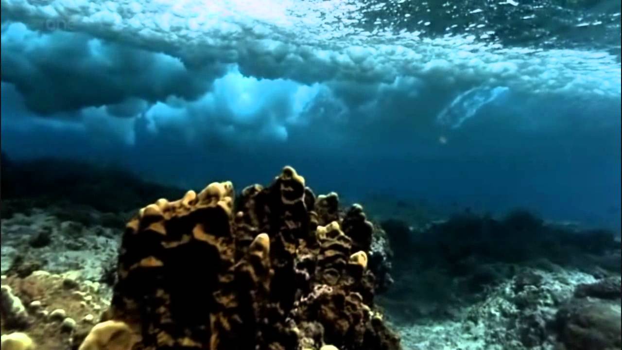 Robin Guthrie - The Blue Book