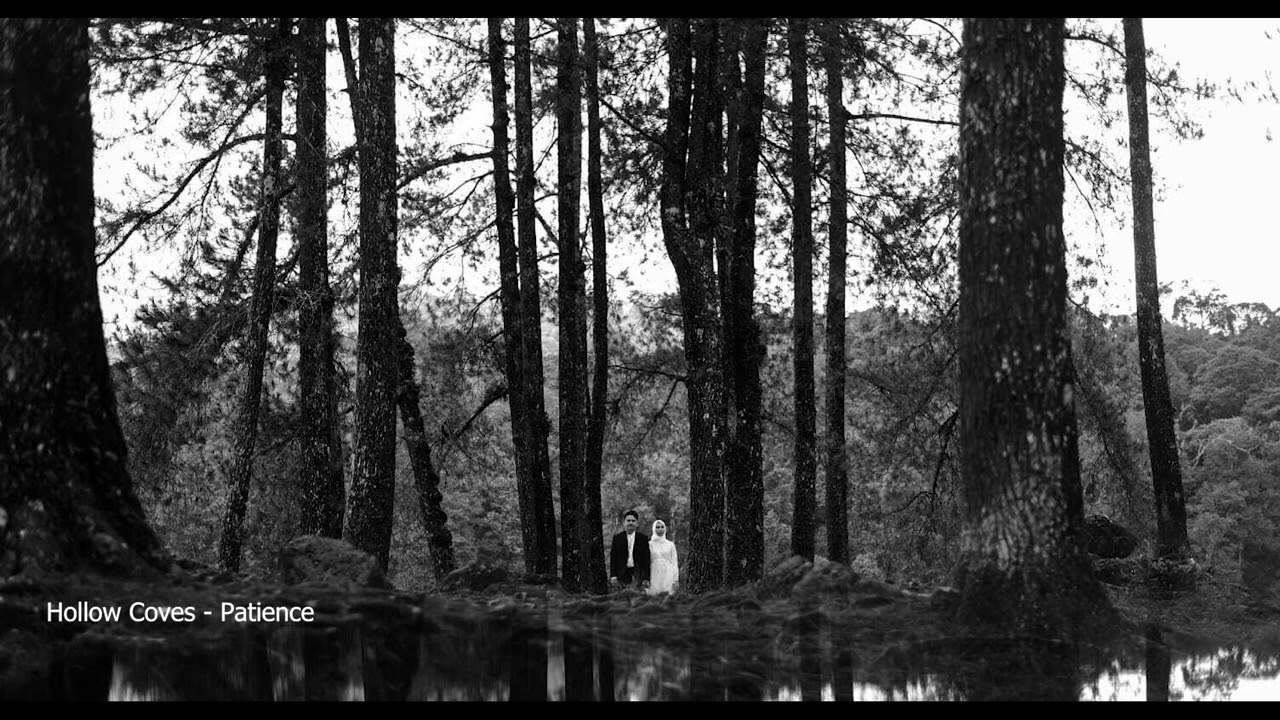Hollow Coves -  Patience