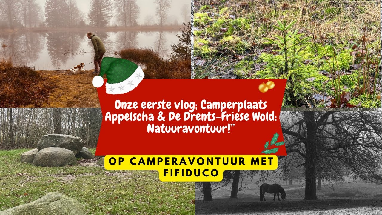 Onze eerste vlog; Camperplaats Appelscha & De Drents-Friese Wold: Natuuravontuur!