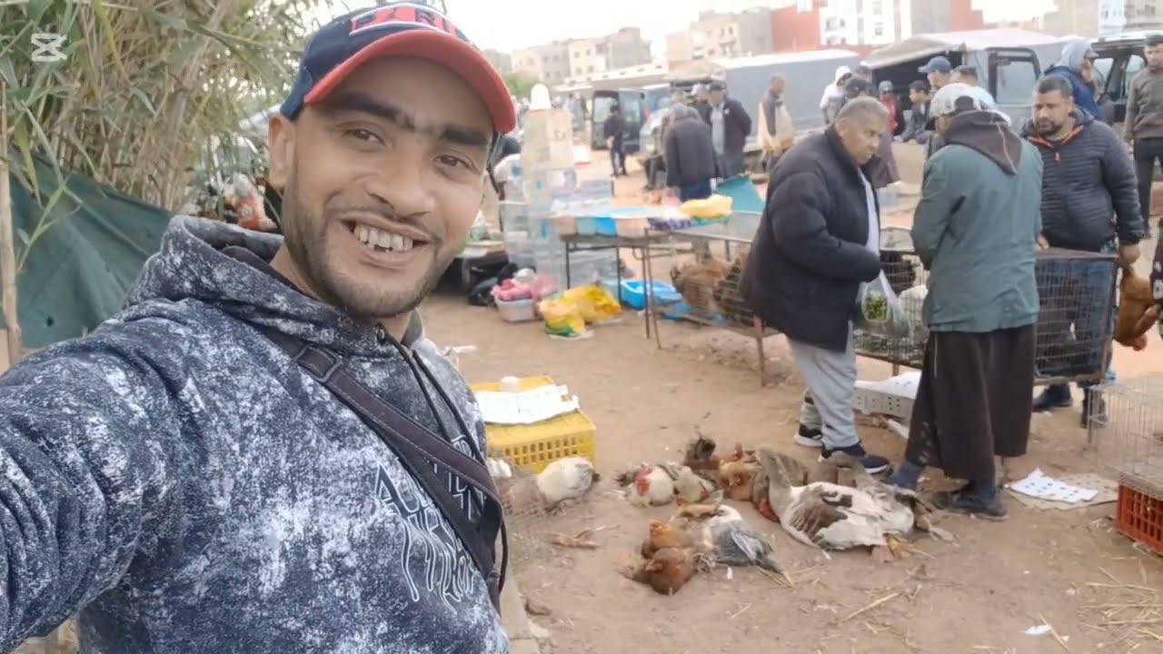 أحسن وأجمل أنواع الدجاج في سوق السبت تمارة دخل تتولع وتتعرف على الاتمنة 