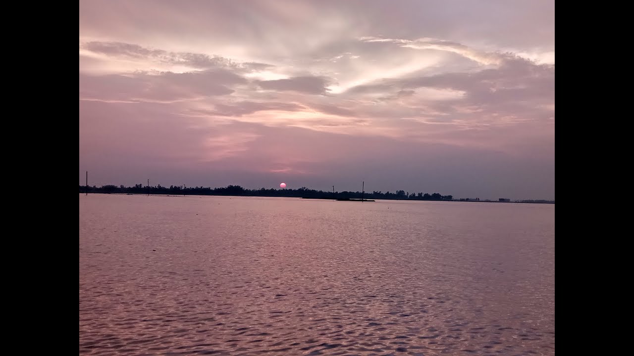 Cholon bil at Singra, Natore.