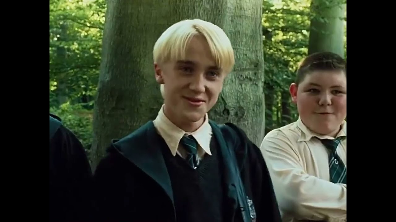 Temperament Drag Brother Malfoy - The Passion of Harry Potter
