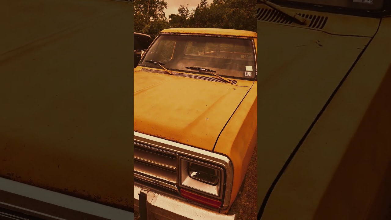 German Cowboy - Me and my Pickup #pickup #pickuplife