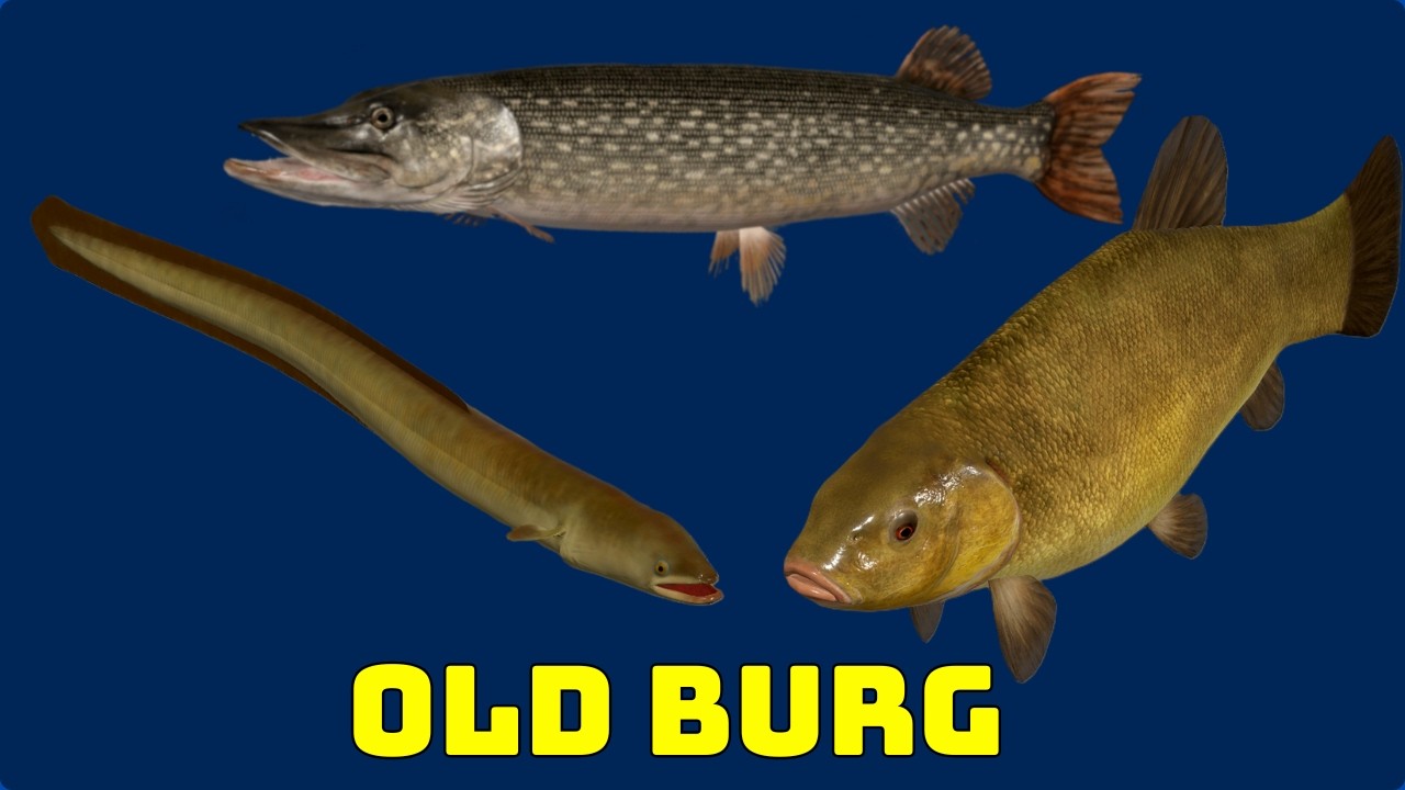 OLD BURG PRZEGLĄD SPOTów (517) | Russian Fishing 4