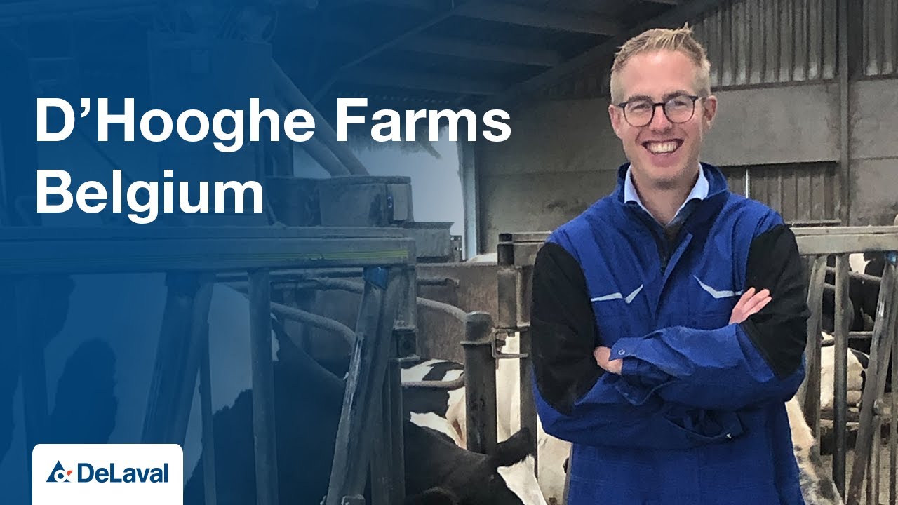 A DeLaval VMS milking robot combined with free cow traffic and grazing! - Pieter D'Hooghe, Belgium