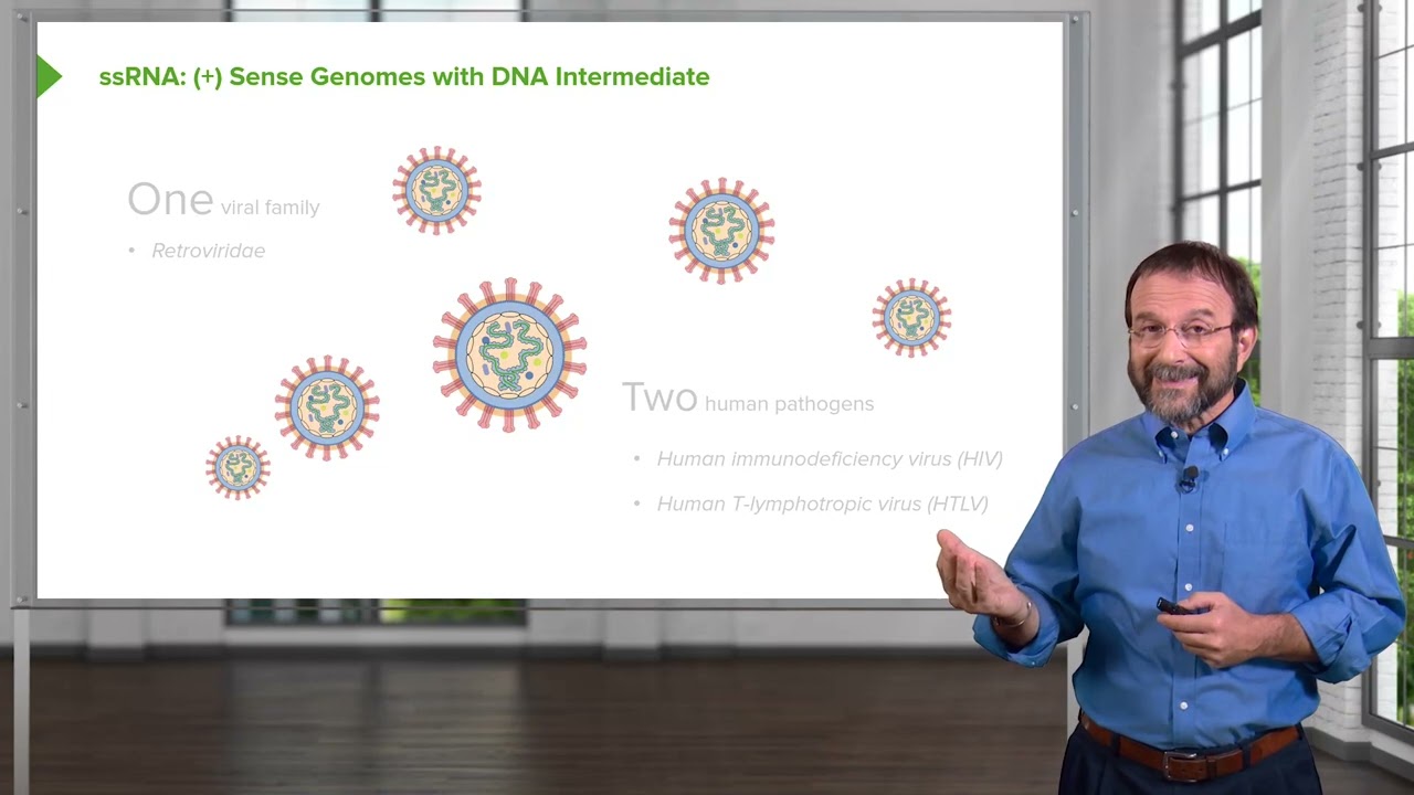 06.Positive-sense Single-stranded RNA ((+)ssRNA) Virus &ndash; RNA Virus Genomes