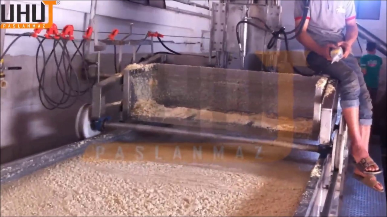 Uhut Paslanmaz / Susam İşleme Hattı - Sesame Processing Line