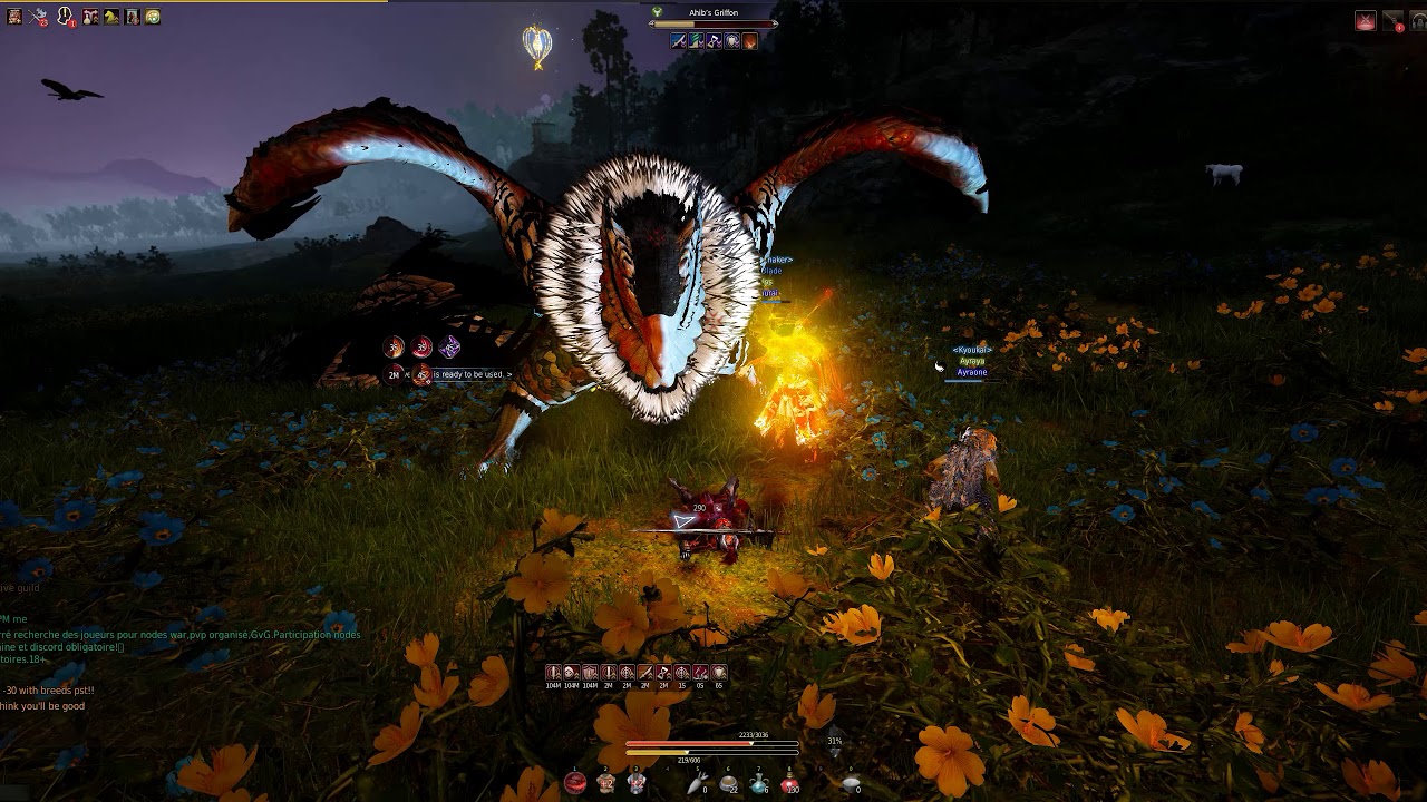 Black Desert Online - Ahib Griffon Boss Scroll Fight