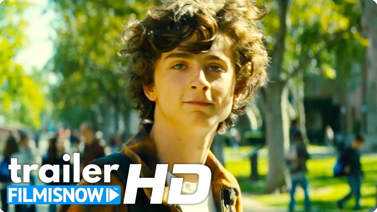 BEAUTIFUL BOY (2019) | Trailer ITA del film con Timothée Chalamet