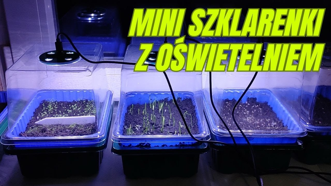 Mini szklarenki z wbudowanym oświetleniem