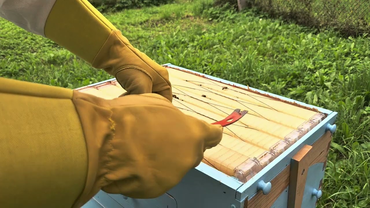 First beehive. Part 4