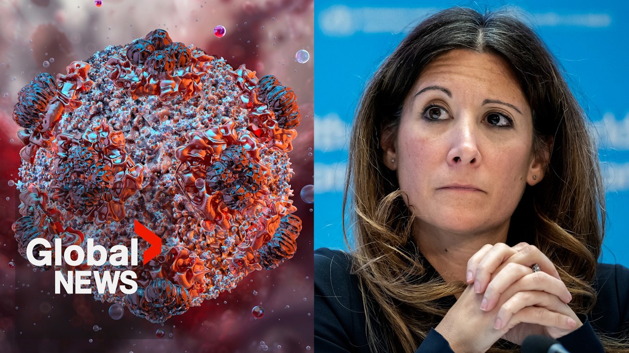 WHO addresses panic surrounding idea of hantavirus lockdown: &ldquo;This is a very different virus&rdquo;