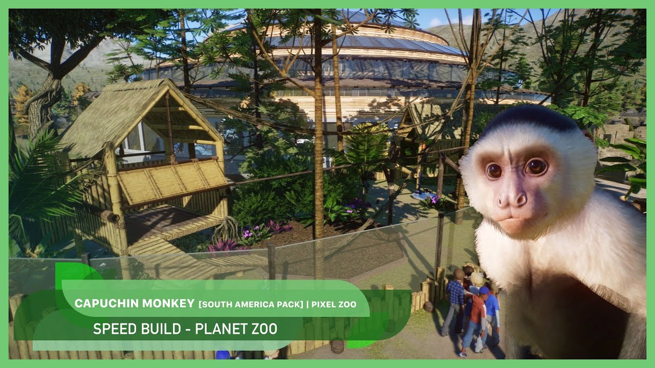 Capuchin Monkey 🐵🌺 | South America Pack | Pixel Zoo | Planet Zoo | Let's build | Speed Build #14