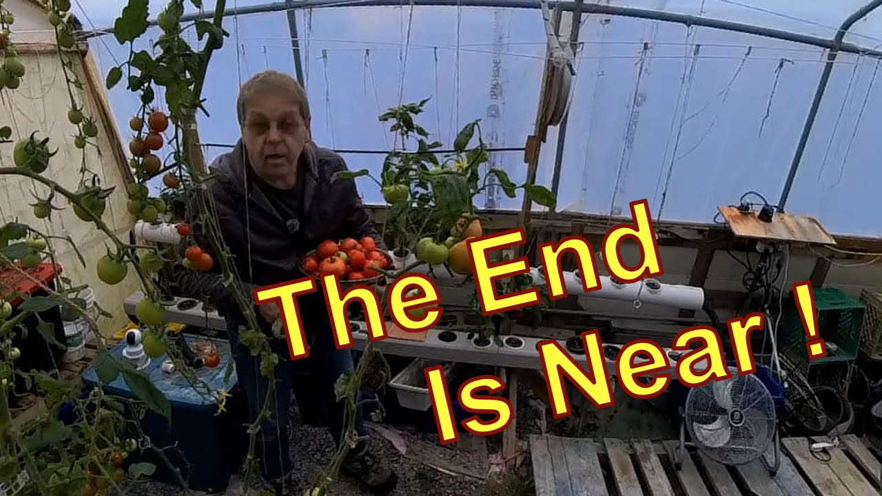 The End Is Near