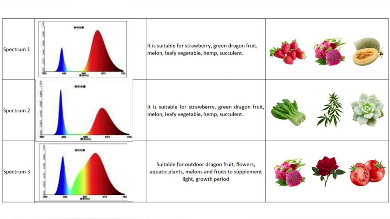 High Quality Full Spectrum LED Grow Lights, Get Quote Now