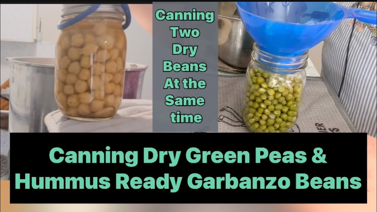 Pressure canning Hummus Ready Dry Garbanzo Beans and Dry Green Peas