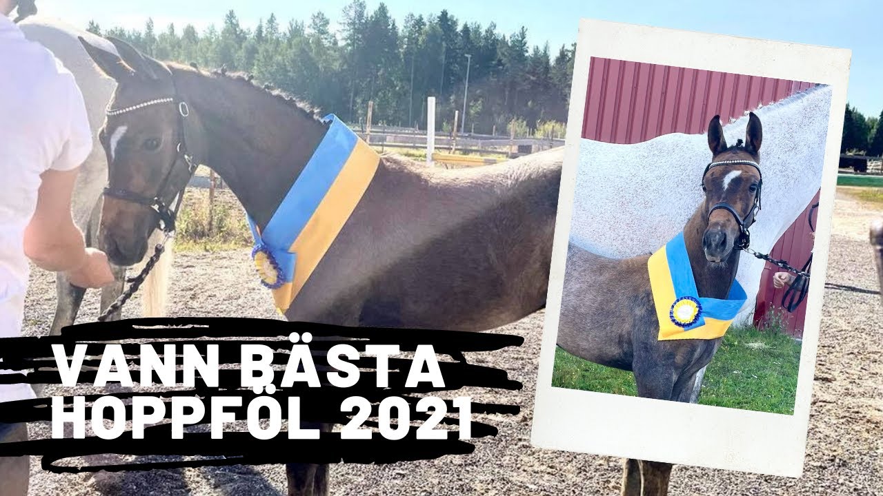 Vann Bästa Hoppföl 2021
