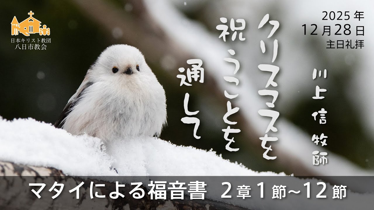 【2025年12月28日】「クリスマスを祝うことを通して」マタイによる福音書 2章 1節～12節　川上 信 牧師【八日市教会】