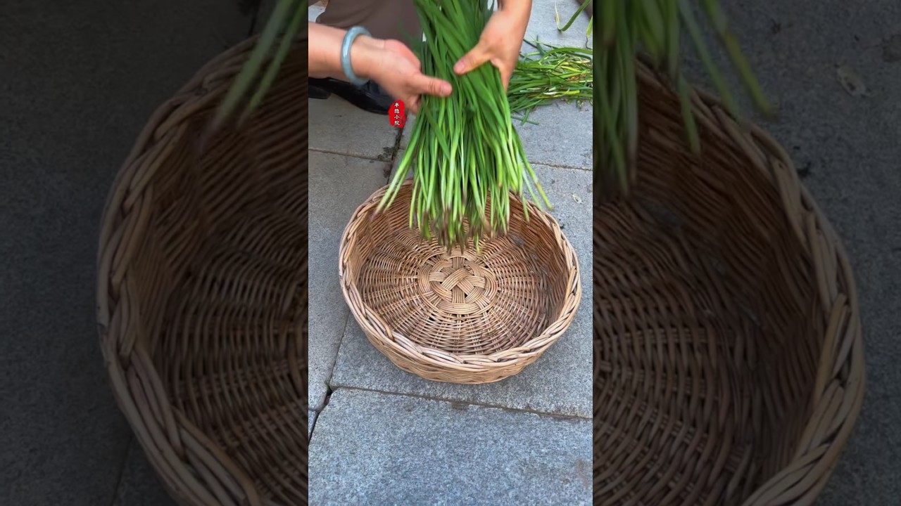 Red root chives taste different, you can also grow some #single root red chives #leekplanting