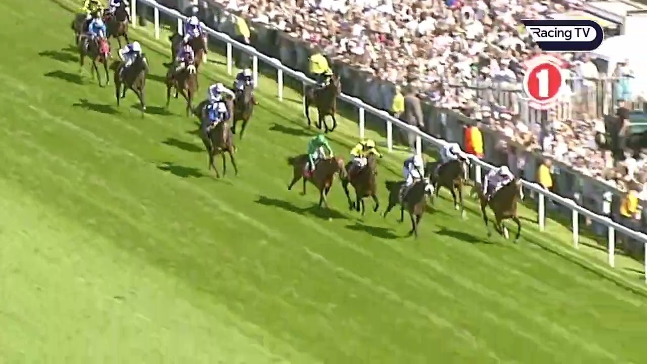 Greatest Horse Racing Moments Part 2