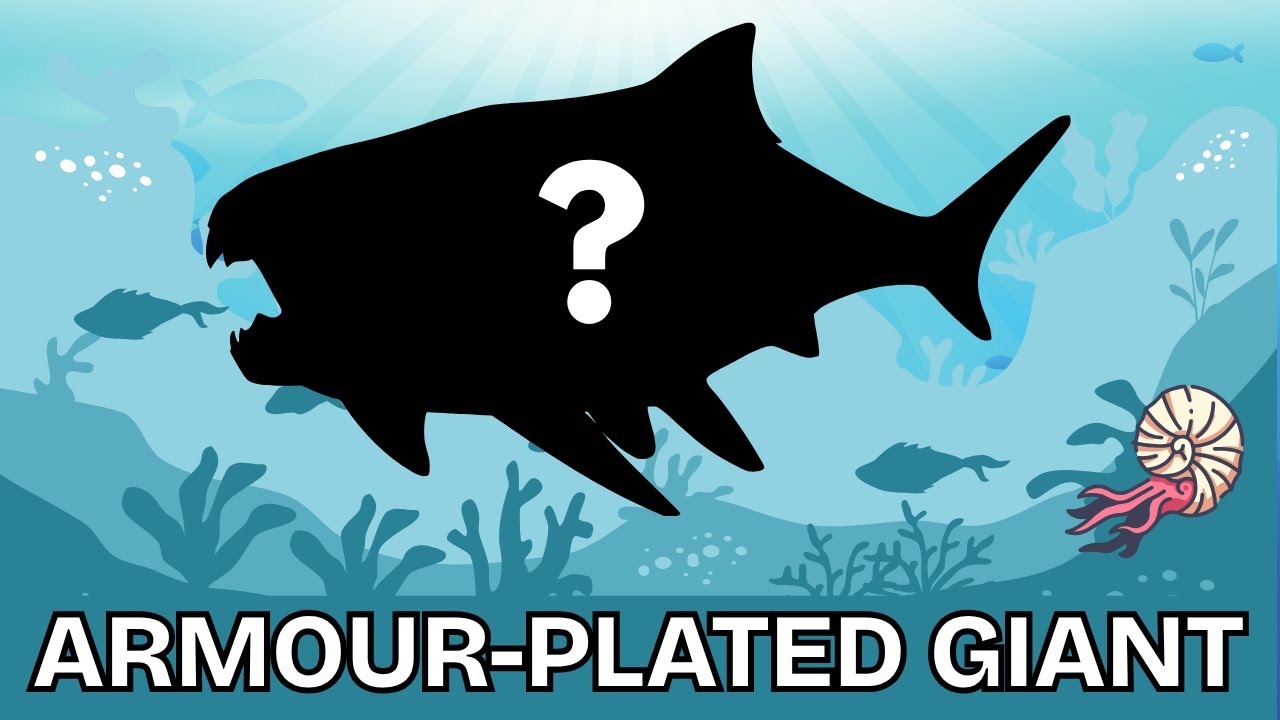 The armour-plated fish | A Dunkleosteus story