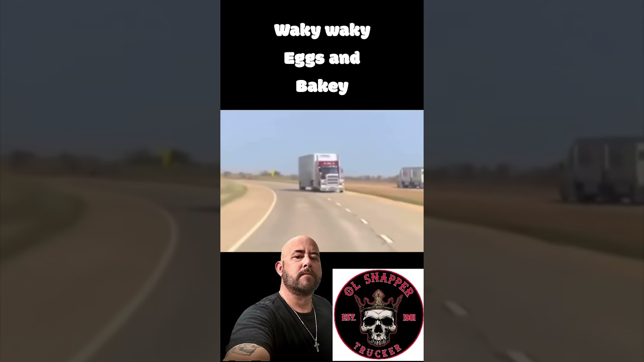 Cattle haulers are a different breed #shorts  #short #tiktok #reels #olesnapper #truckdriver