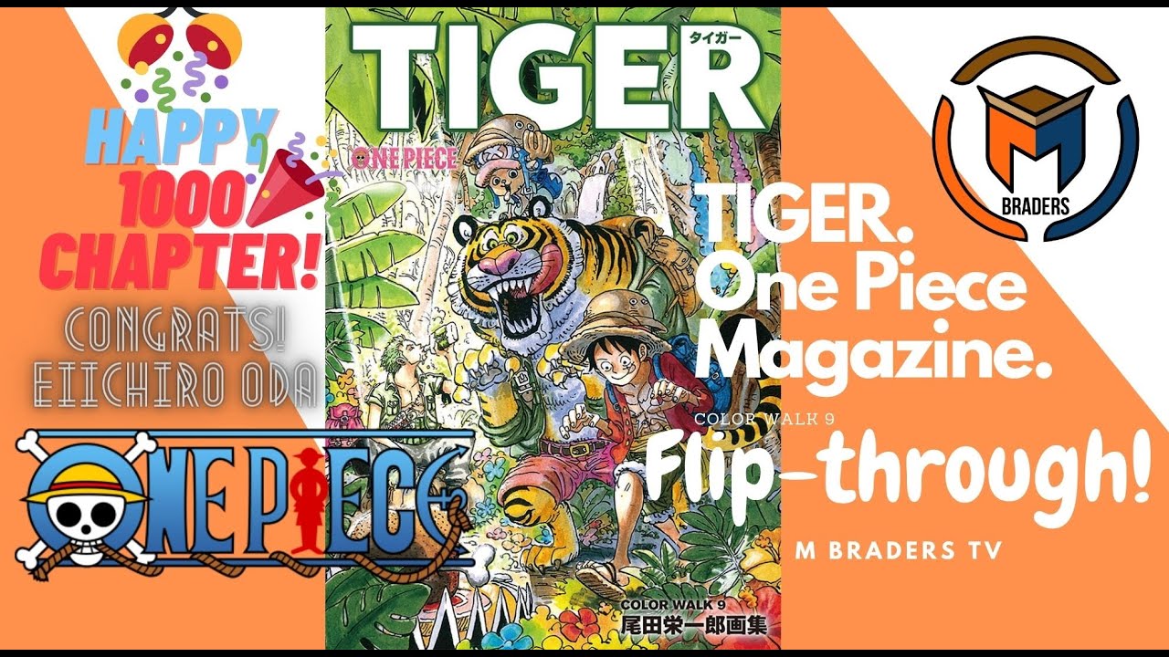 One Piece Magazine 