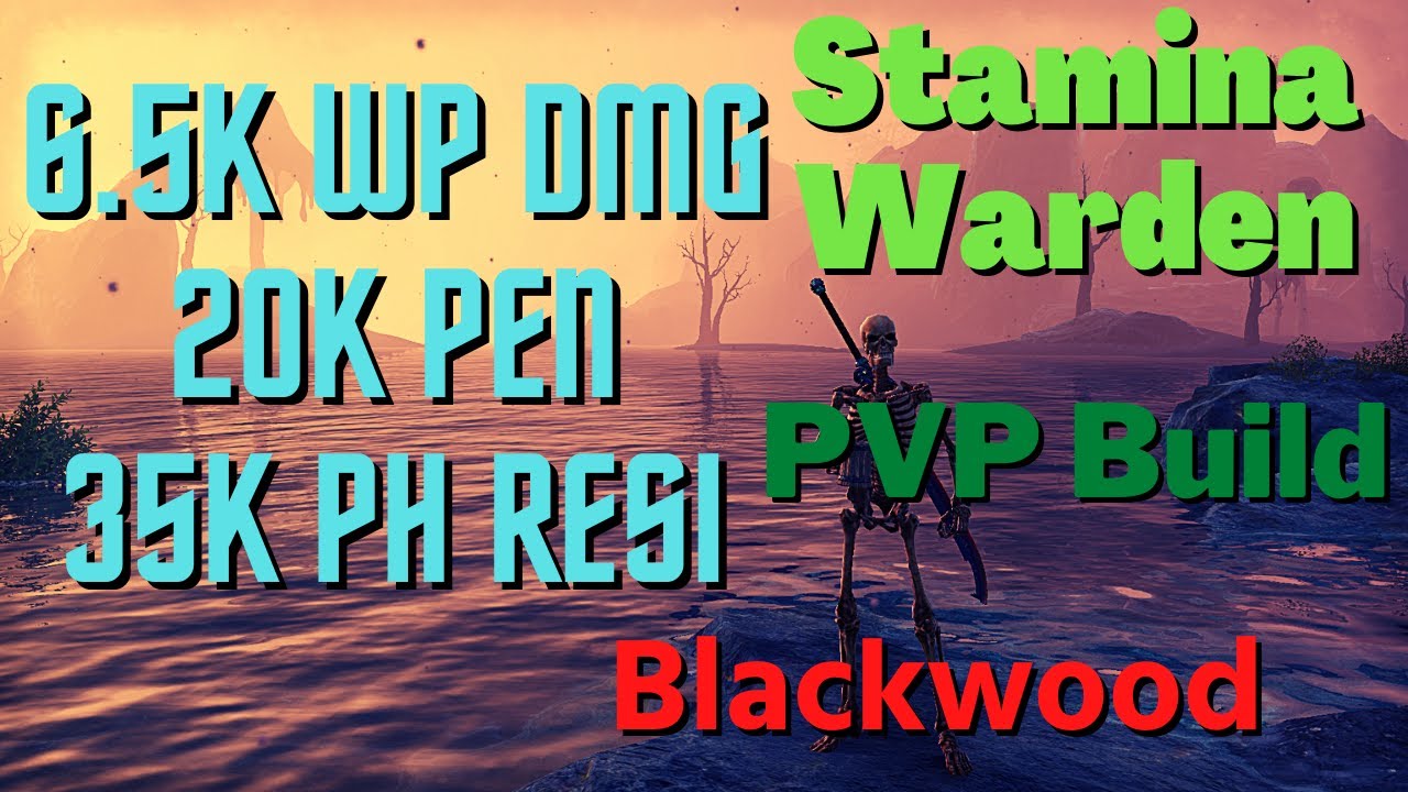 Stamina Warden - ESO PVP Build - Blackwood