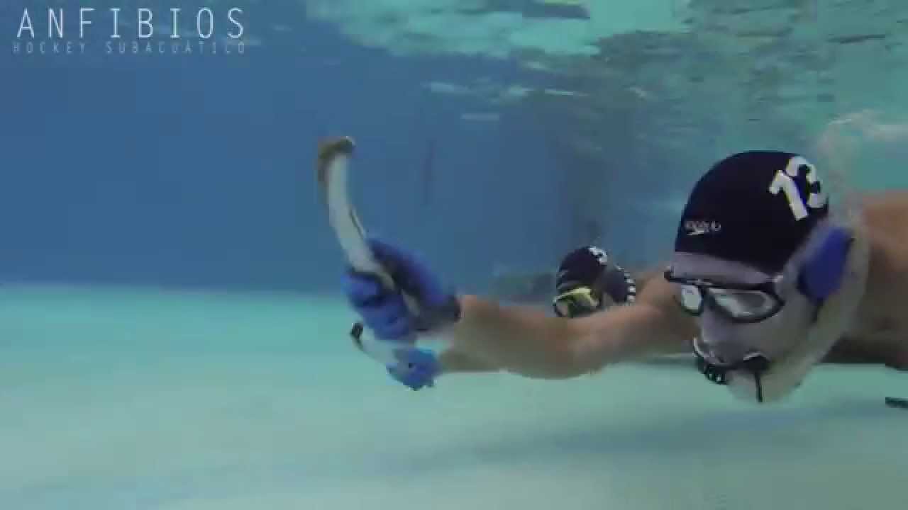 Encuentro Anfibios-SeaRiders