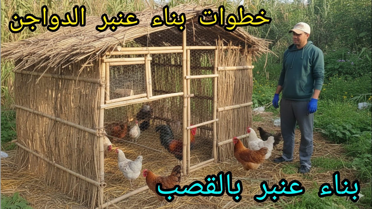 اول الخطوات لبناء عنبر دواجن بالقصب و العود و باقل تكلفة 