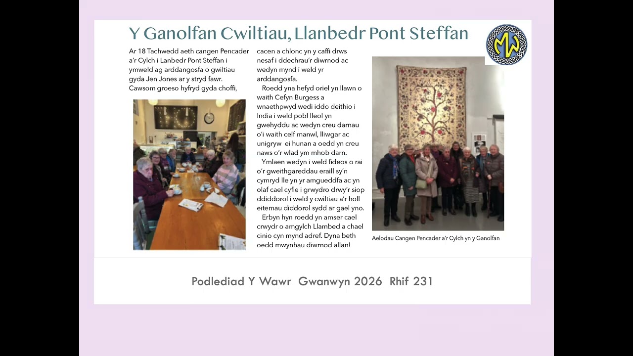 Canolfan Cwiltiau Llanbedr Pont Steffan - 231