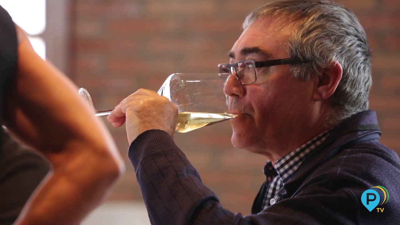 Enoturismo en Cariñena con Grandes Vinos y Viñedos