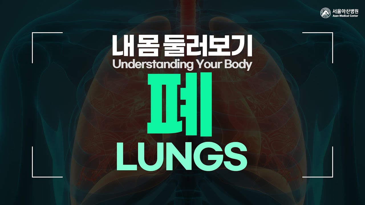 폐 [내 몸 둘러보기]