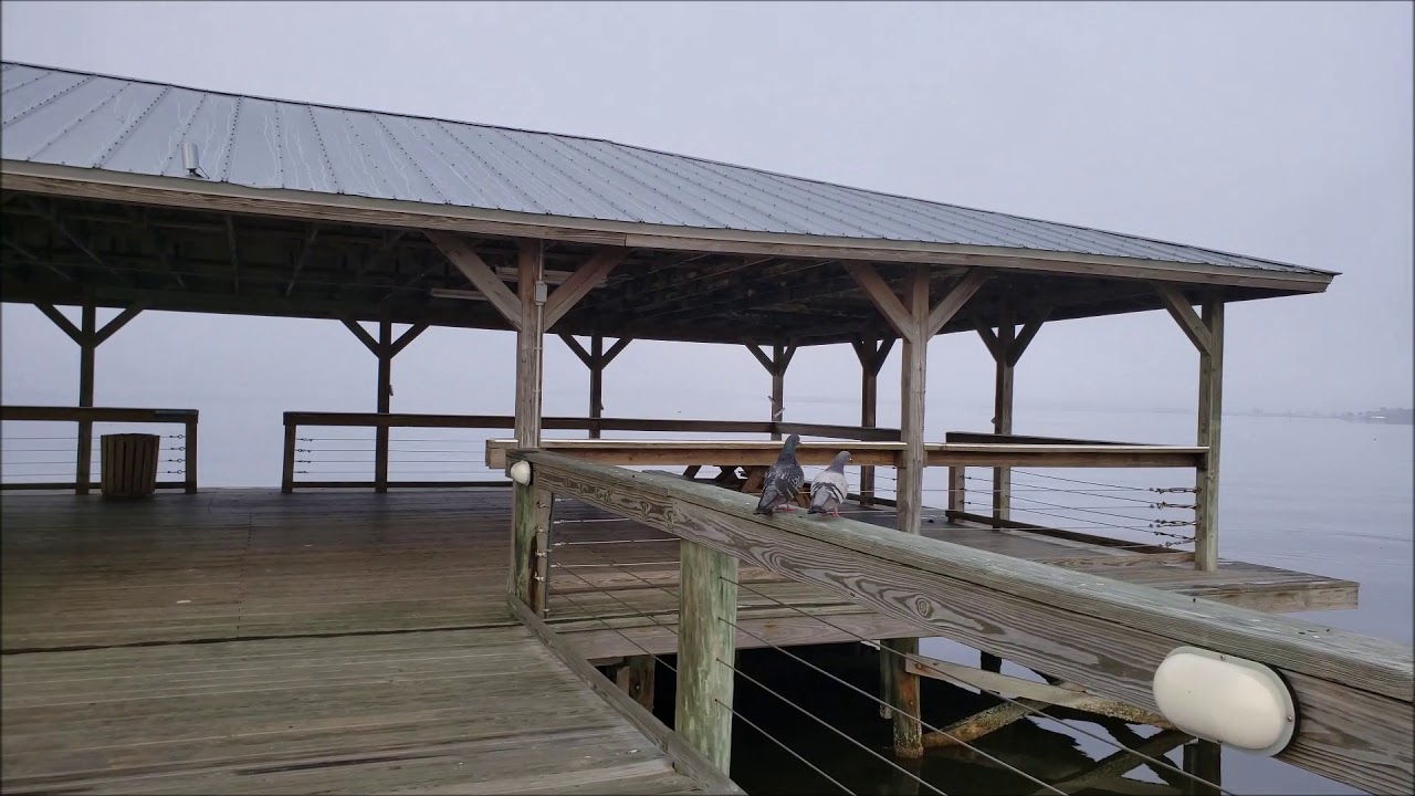 February 2019 Foggy Lagoon Walk