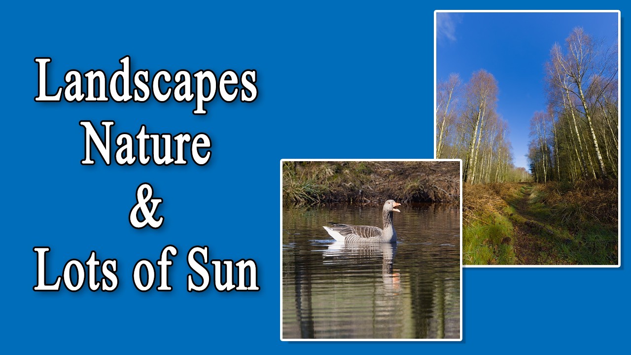 Landscapes, Nature & Lots of Sun
