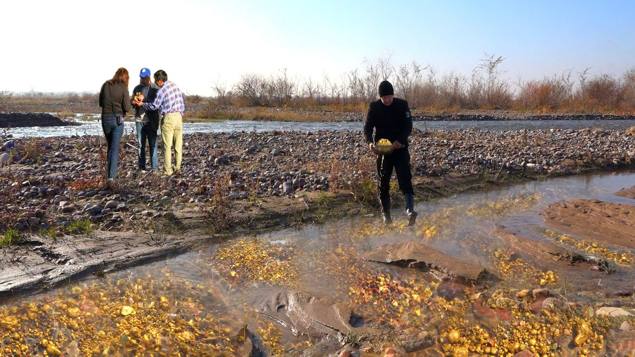 Yakutia GOLD: Where was the most Gold found in Yakutia?