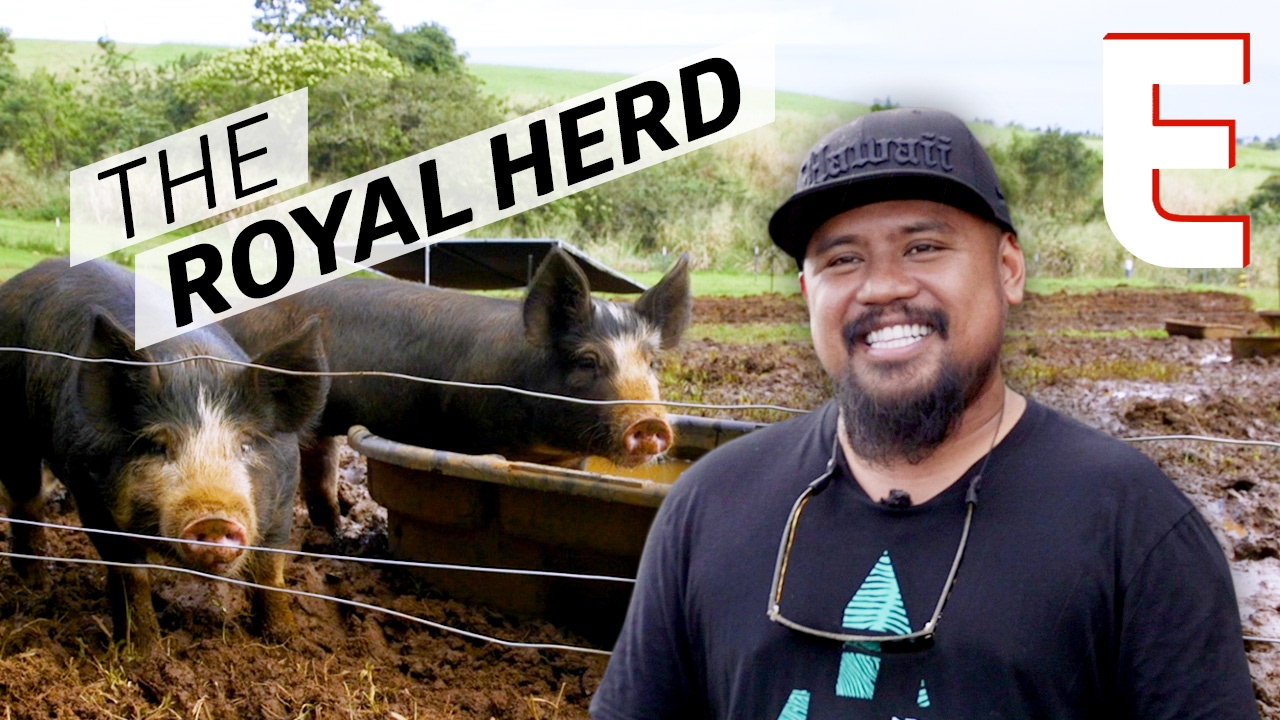 Hawaii's Chillest Pig Farm Produces Perfect, Happy Pork — Cooking in America