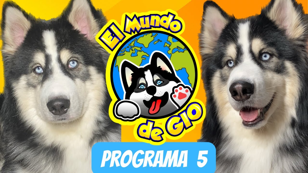 El Mundo de Gio: Programa 5 / Pastor Alemán / entrevistamos a Victor The Groomer /