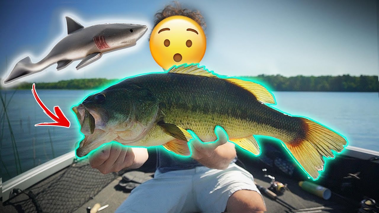 Testing Swedish Swimbait - Big Bass LOVE This Lure!
