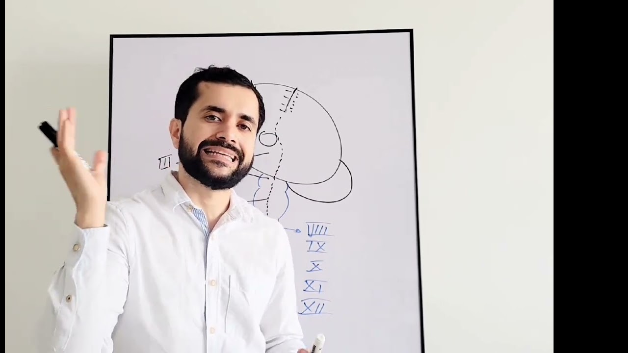 Curso gratis de neurología