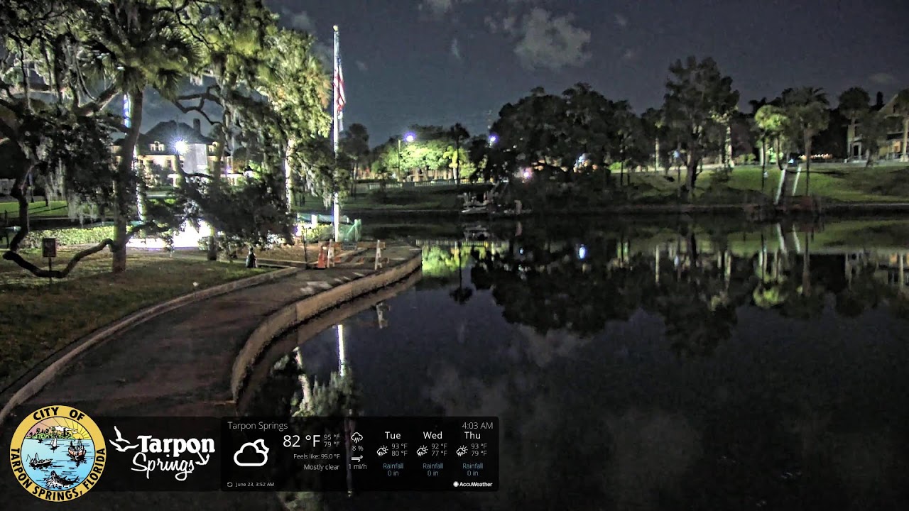 Spring Bayou Live Manatee Webcam